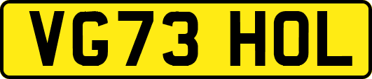 VG73HOL