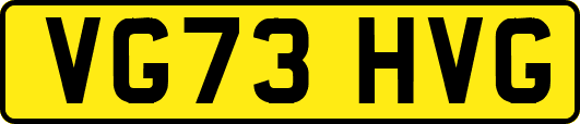 VG73HVG