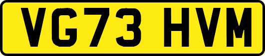 VG73HVM