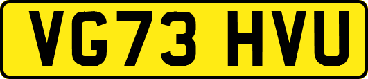 VG73HVU