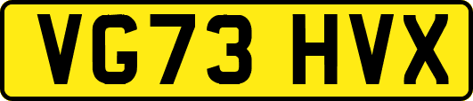 VG73HVX