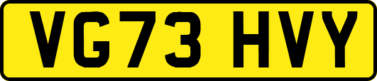VG73HVY