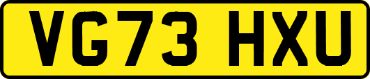 VG73HXU