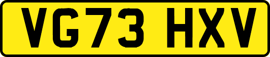 VG73HXV
