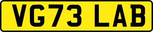 VG73LAB