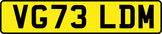 VG73LDM