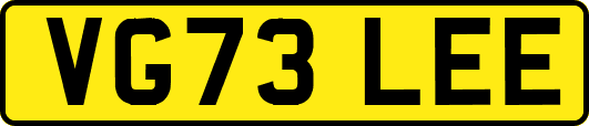 VG73LEE