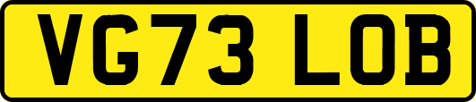 VG73LOB