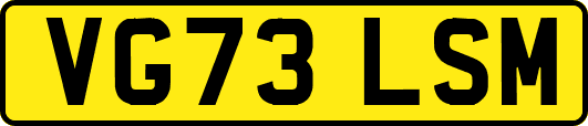 VG73LSM