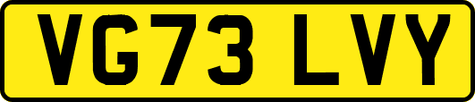 VG73LVY