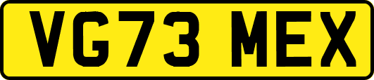 VG73MEX