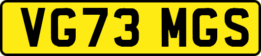VG73MGS