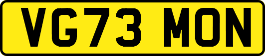 VG73MON