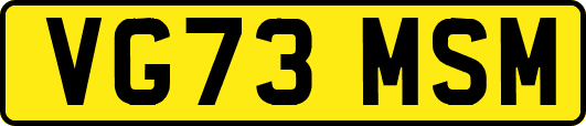 VG73MSM