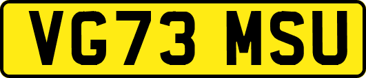 VG73MSU