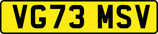 VG73MSV