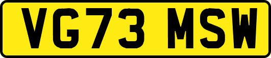 VG73MSW
