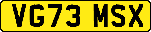 VG73MSX