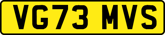 VG73MVS