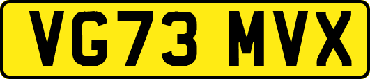 VG73MVX