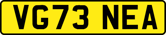VG73NEA