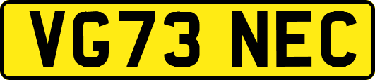 VG73NEC