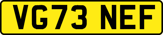 VG73NEF