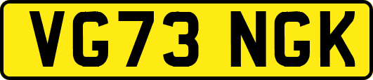 VG73NGK