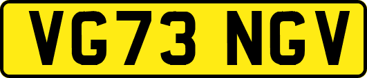 VG73NGV