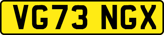 VG73NGX