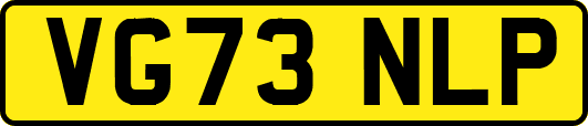VG73NLP
