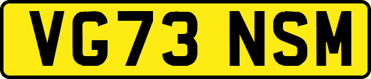 VG73NSM