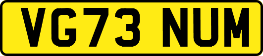 VG73NUM