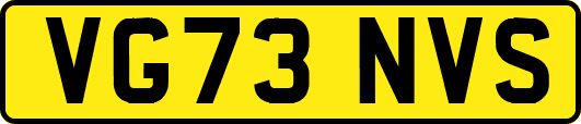 VG73NVS
