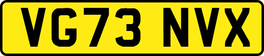 VG73NVX