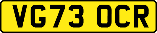 VG73OCR