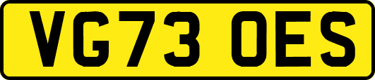 VG73OES