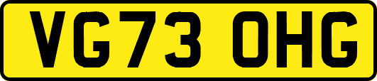 VG73OHG