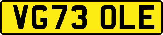 VG73OLE