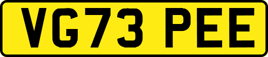 VG73PEE