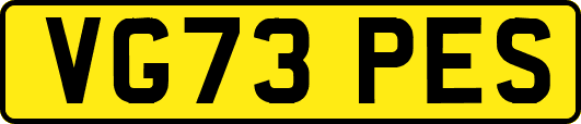 VG73PES