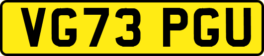 VG73PGU