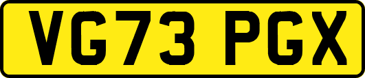 VG73PGX
