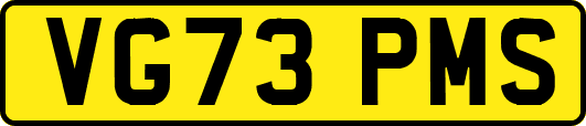 VG73PMS
