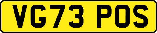 VG73POS
