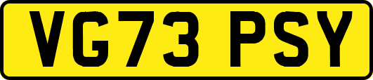 VG73PSY
