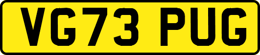 VG73PUG