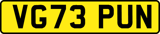 VG73PUN