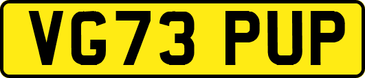 VG73PUP
