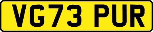 VG73PUR